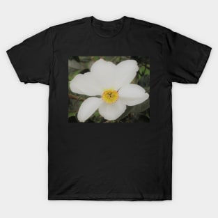 Japanese Anemone T-Shirt